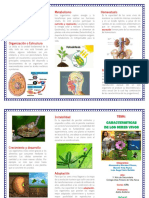 Triptico Caracteristicas PDF