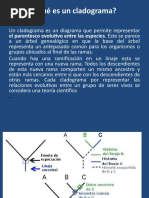 Cladograma Odp