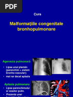 Malformatii Cong Bronho-Pulm !