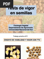 TestsDeVigor PDF