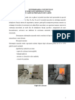 Determinarea Subs Minerale Carne