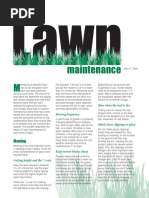 Lawn Maintenance