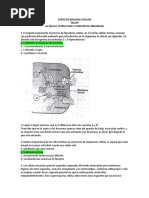 Taller de La Celula