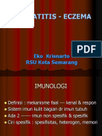 Dermatitis - Eczema: Eko Krisnarto RSU Kota Semarang