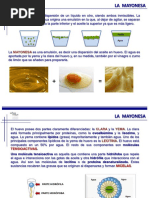 Fichamayonesa 2 PDF