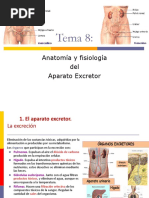 T 8 - Aparato-Excretor