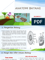 Anatomi Batang