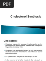 Cholesterol Synthesis