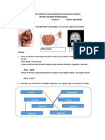 Guia Biologia Humana