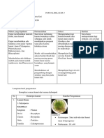 Jurnal Belajar 5