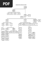 Organigrama Cao