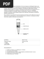 Metodo de Ritchie