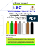 NEO-05 Seguridad Gases Comprimidos