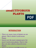 Insectivorous Plants