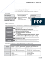 Resumen Salud Mental EIR