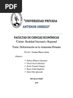 Deforestación en La Amazonía Peruana