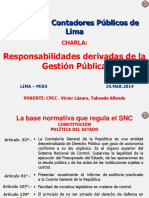 Responsabilidades Derivadas de La Gestion Publica PDF