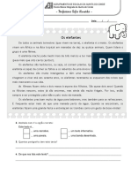 Texto Informativo - o Elefante