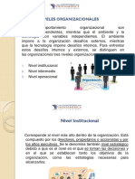 Diferentes Niveles de Estructuras Organizacionales