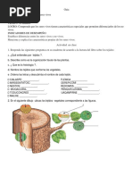 Guia Tejido Vegetal