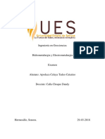 Examen Hidrometalúrgia y Electrometalúrgia