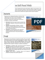 Soil Food Web