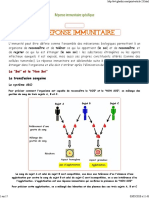 Scienceee Immunite