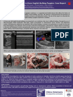 Walrus Syndrome in Three English Bulldog Puppies: Case Report