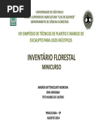 23 Minicurso Inventario IPEF