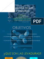 Fisiologia de Las Levaduras