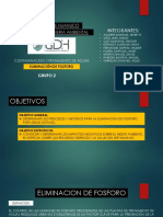Eliminacion de Fosforo 