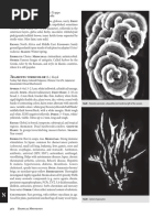 Four Species Profiles