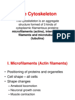 Cytoskeleton DA