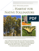 Iowa Woodlands Vital Habitat For Native Pollinators