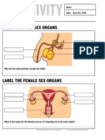 Reproductive System Activity 1