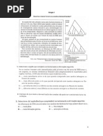 Classificacao Evolucao