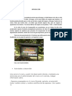 PDF Documento