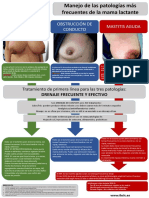 Poster Manejo Ingurgit Obst Mastitis