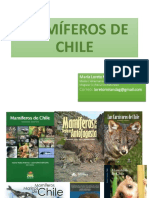 Mamíferos de Chile