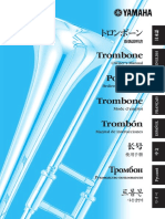 Trombone Cuidado y Mantenimiento Del Instrumento