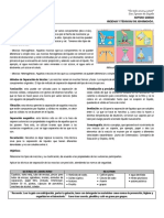 Lab Química 9no IB