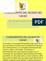 Fundamentos Del Secado Del Cacao