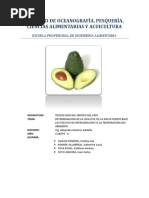 Informe Palta