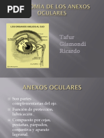 Anexos Oculares