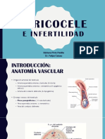 Varicocele e Infertilidad