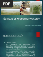 Técnicas de Micropropagación