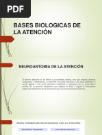 Bases Biologicas de La Atención