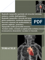 F M2 Sem II Curs 6-7 Torace