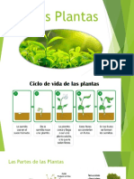 3ro Basico Las Plantas