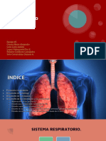 Sistema Respiratorio